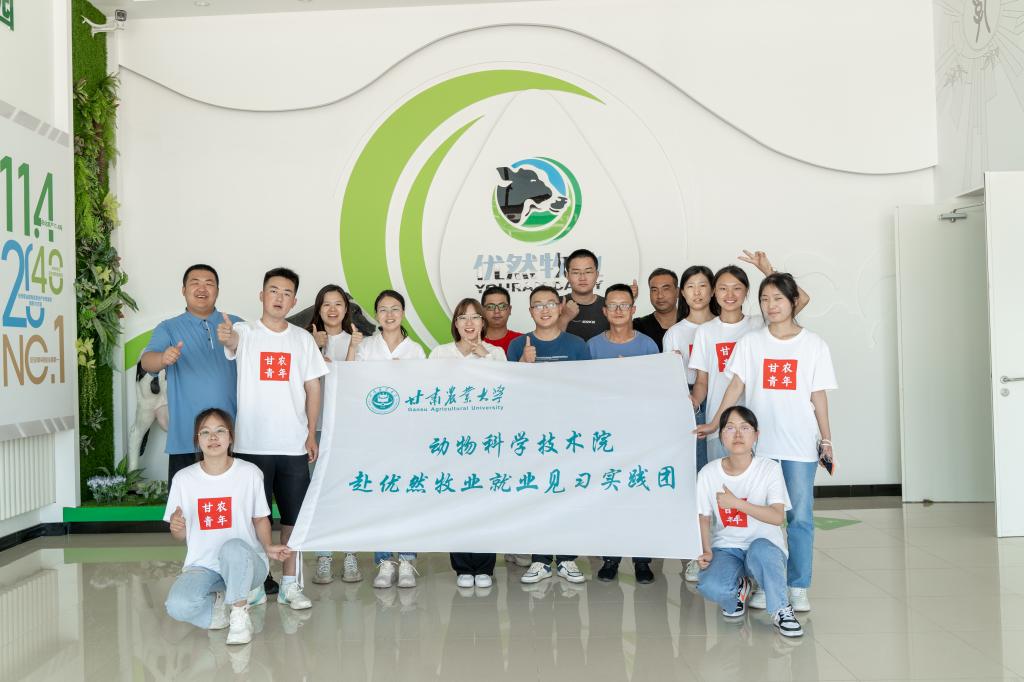 13D2A